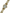 Gold & Pearl-Style Dress Watch